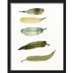 THE CLAY PLAY | WATERCOLOR BIRD FEATHERS (green/yellow) (no.283) | A4 アートプリント/ポスター