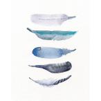 THE CLAY PLAY | WATERCOLOR BIRD FEATHERS (snowgray/blue) (no.368) | A4 アートプリント/ポスター