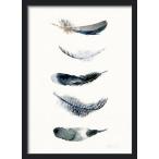 THE CLAY PLAY | WATERCOLOR PAINTED BIRD FEATHERS(no.478) | A3 アートプリント/ポスター