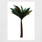 【ネコポス送料無料】BLANCA GOMEZ | PALM TREE | A4 アートプリント/ポスター