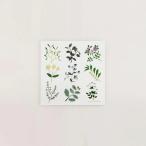 a good view | PLANTS | 20x20cm 北欧 アートポスター プランツ おしゃれ リビング 青山佳世 KAYO AOYAMA