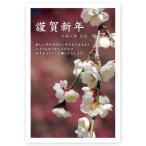 年賀状　2026年 午年 うま年 馬　私製年賀はがき　5枚　ne105