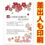 差出人印刷込み 年賀状 2026年 午年 うま年 馬 私製年賀はがき 30枚 ns054