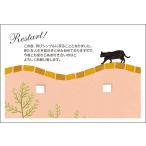 官製１０枚 　離婚 報告 ハガキ お知らせ 葉書 はがき　SMS-56