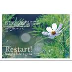 官製１０枚 　離婚 報告 ハガキ お知らせ 葉書 はがき　SMSF-13