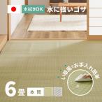 ラグ 洗える カーペット ビニール風 ゴザ 6畳 6帖 本間 6畳 286×382cm 花ござ たたみ風 洗える 無地 レジャーシート ペット ござ 涼風