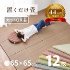 畳 置き畳 イ草 い草 65×65×2.5cm 小同色12枚セット 3畳 DIY カット可能 おしゃれ たたみ 可愛い 軽量 琉球畳風 彩 いろどり