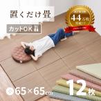 畳 置き畳 イ草 い草 65×65×2.5cm 小同色12枚セット 3畳 DIY カット可能 おしゃれ たたみ 可愛い 軽量 琉球畳風 無料サンプルあり 彩 いろどり