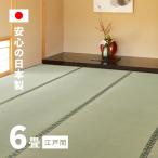 ショッピングい草 カーペット い草 6畳 6帖 261×352cm 畳の上に敷くもの ござ 国産 いぐさ 江戸間 関東間 田舎間 五八間 58間 上敷き 天草