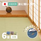 ラグ い草風 ゴザ カーペット 6畳 286×382cm 本間 畳の上に敷くもの 日本製 洗える パイプ素材 PP ポリプロピレン ライアン