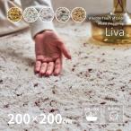 ラグ マット カーペット 洗える シャギーラグ 2畳 200×200cm おしゃれ ホットカーペットカバー 滑り止め付き シンプル リーヴァ
