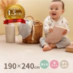 ラグ カーペット 3畳 190×240cm 洗える 綿100% イブル 韓国インテリア マルチカバー デコール