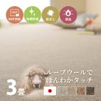 カーペット 3畳 3帖 176×261cm 江戸間 ラグ 敷き詰め 日本製 防炎 抗菌 防臭 防ダニ ホットカーペットカバー オペラ BT-9000