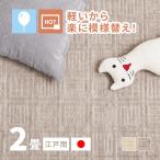 ラグ カーペット タフトラグ 2畳 江戸間 2帖 176×176cm 軽量 軽い 日本製 国産 絨毯 かわいい ピクシス
