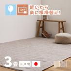 カーペット 3畳 3帖 176×261cm 江戸間 ラグ 敷き詰め 日本製 軽量 裏貼りなし 薄手 ホットカーペットカバー シンプル ピクシス
