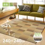ラグ カーペット い草 4.5畳弱 240×240cm 折りたためる コンパクト ふっくら 防音 厚手 クレパス 裏貼有 8mm ウレタン入り