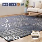 ショッピングラグ ラグ い草 4.5畳弱 240×240cm ふっくら 抗カビ 抗菌 防臭 撥水 ウレタン入り キハチ