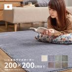 サイズオーダー オーダー ラグ カーペット 2畳 200×200cm 日本製 防ダニ 防音 滑り止め 防炎 低ホルム ホットカーペット対応 カーム