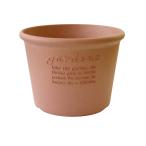  Hachiman ..(Hachimankasei) gardens( сад z) горшок eko pot . type 8 номер неглазурованный фарфор .