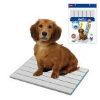 マルカン ゴン太のクールひんやりアルミボード M 犬猫用 エアスルー構造 折りたたみ可 すべり止め付 熱中症対策 暑さ対策