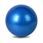 選べる4サイズ バランスボール 45cm 55cm 65cm 75cm アンチバースト ポンプ付き (45cm, ディスコブルー)