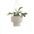 植木鉢