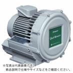 昭和 電動送風機 渦流式高圧シリーズ ガストブロアシリーズ(0.4kW) ( U2V-40S )