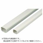 因幡電工 スリムダクトLD ( LD-70-B )