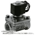 ＣＫＤ　パイロットキック式２ポート電磁弁（マルチレックスバルブ） ( ADK11-25A-02G-AC200V )  ( NHQ48 )