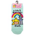 �����X�J�C�c���[�@�\���J������� �~ ������������@���f�B�[�X�\�b�N�X�@23�`25cm�@�C���@��l�p�@����Ԃ��\�b�N�X