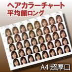 ヘアカラーチャート(平均顔ベース) A4超厚口 髪色見本 似合うヘアカラー 似合う髪色 パーソナルカラー パーソナルヘアカラー ヘアカラーリング