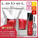 ルベル イオ クレンジング(シャンプー) 2500mL + クリーム(トリートメント) 2500mL + エッセンス 100mL 選べる3点セット 詰め替え