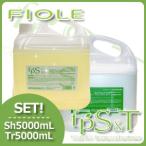 フィヨーレ プロシャンプー 5000mL + プロトリートメント 5000mL 5L セット 詰め替え 美容院 専売