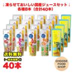 ゴールドパック 凍らせておいしい国産ジュース シャーベット 5種アソートセット 80g×40本 みかん もも 梨 日向夏 りんご 送料無料(北海道・東北・沖縄除く)