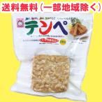 テンペ 100g×10袋 ヤマク食品【テンペ菌 発酵食品】送料無料（北海道・東北・沖縄除く）