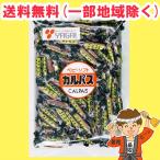 yagai baby karu Pas 460g 1 пакет массовая закупка дагаси [ почтовая отправка ] бесплатная доставка ( Hokkaido * Tohoku * Okinawa за исключением )