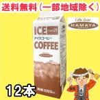 ¥Ï¥Þ¥ä ¥«¥Õ¥§21 ¶È̳ÍÑ ¥¢¥¤¥¹¥³¡¼¥Ò¡¼ ̵Åü 1000ml¡ß12ËÜ µÊÃãŹ¤ÎÌ£ Á÷ÎÁ̵ÎÁ¡ÊË̳¤Æ»¡¦ÅìËÌ¡¦²Æì½ü¤¯¡Ë