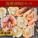 厳選 海鮮BBQセット 【 有頭ブラックタイガー 10尾 】【 ホタテ片貝 10枚 】【 スルメいか一夜干し 1枚 】 冷凍 エビ ホタテ イカ BBQ 送料無料