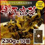 博多辛子高菜（230g×10袋） 送料無料