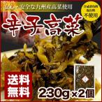 辛子高菜 230g×2袋 博多 送料無料 ポ