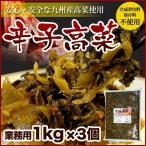 博多辛子高菜 1kg × 3袋 九州産高菜