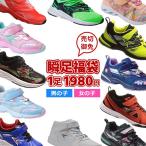 福袋 瞬足 シュンソク 福袋 キッズ スニーカー アキレス瞬足 1足1980円! 子供靴 レモンパイ syunsoku お買い得 19SS01