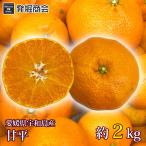 ショッピング甘平 甘平(かんぺい)  約2kg 愛媛県 宇和島産 みかん 数量限定