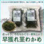  новый предмет! натуральный стебель . черепаха 30g×2 пакет комплект Fukui префектура Echizen производство стебель . черепаха . черепаха водоросли вакамэ стебель без добавок местного производства натуральный сухой органический Fukui закуска 