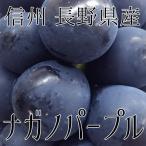  Shinshu Nagano префектура производство [nagano лиловый ] примерно 1.5kg(2~3.) вид нет бесплатная доставка 