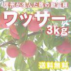 【ワッサー】 約3kg 10個前後 桃 信州 長野県産 大きさミックス 期間・数量限定