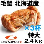 Yahoo! Yahoo!ショッピング(ヤフー ショッピング)毛ガニ 特大3尾 送料無料 北海道産 毛ガニ 2.4kg強（特大800g×3尾） 毛ガニ ボイル冷凍 毛蟹 レシピ付き お歳暮 訳あり無し 2kg（2キロ）以上