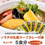 札幌 スープカレー の素 5食分 (送料無料 ポスト投函) 北海道 ソラチ(濃縮タイプ) 札幌 スープカレー 北海道 お土産