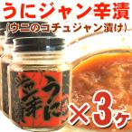 うに ウニ )うにジャン辛漬け 100g×3ヶ(たっぷり300g分) 瓶入り urchin