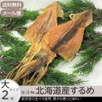 送料無料 するめ 大サイズ2枚 北海道産 無添加 メール便 スルメ 真いか